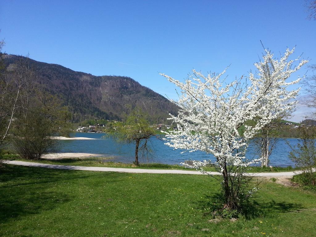 Buchauer-Tirol / Landhaus Buchauer Thiersee Zewnętrze zdjęcie